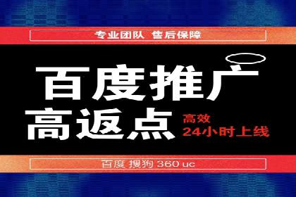 解析某某SEM服务公司如何通过数据分析优化广告效果